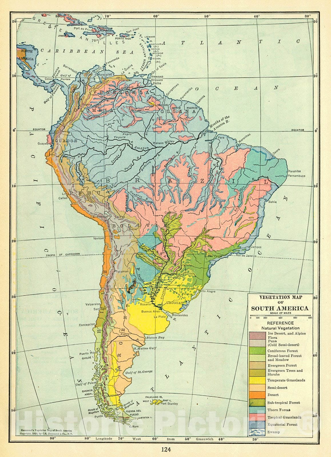 Historic Map : 1917 Vegetation Map of South America : Vintage Wall Art