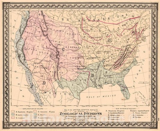 Historic Map : 1875 Map of the United States Showing the Principal Zoological Divisions : Vintage Wall Art