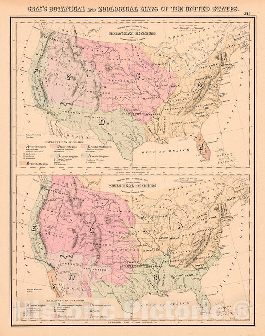 Historic Map : 1886 Gray's Botanical and Zoological Maps of the United States : Vintage Wall Art