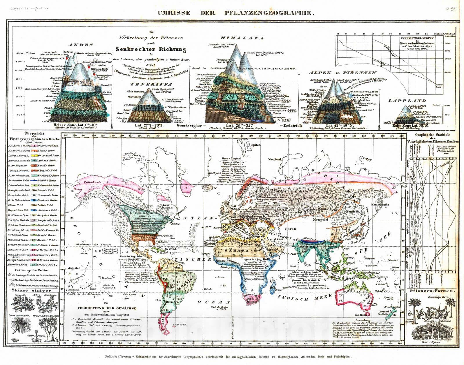 Historic Map : 1849 Umrisse der Pflanzen Geographie : Vintage Wall Art