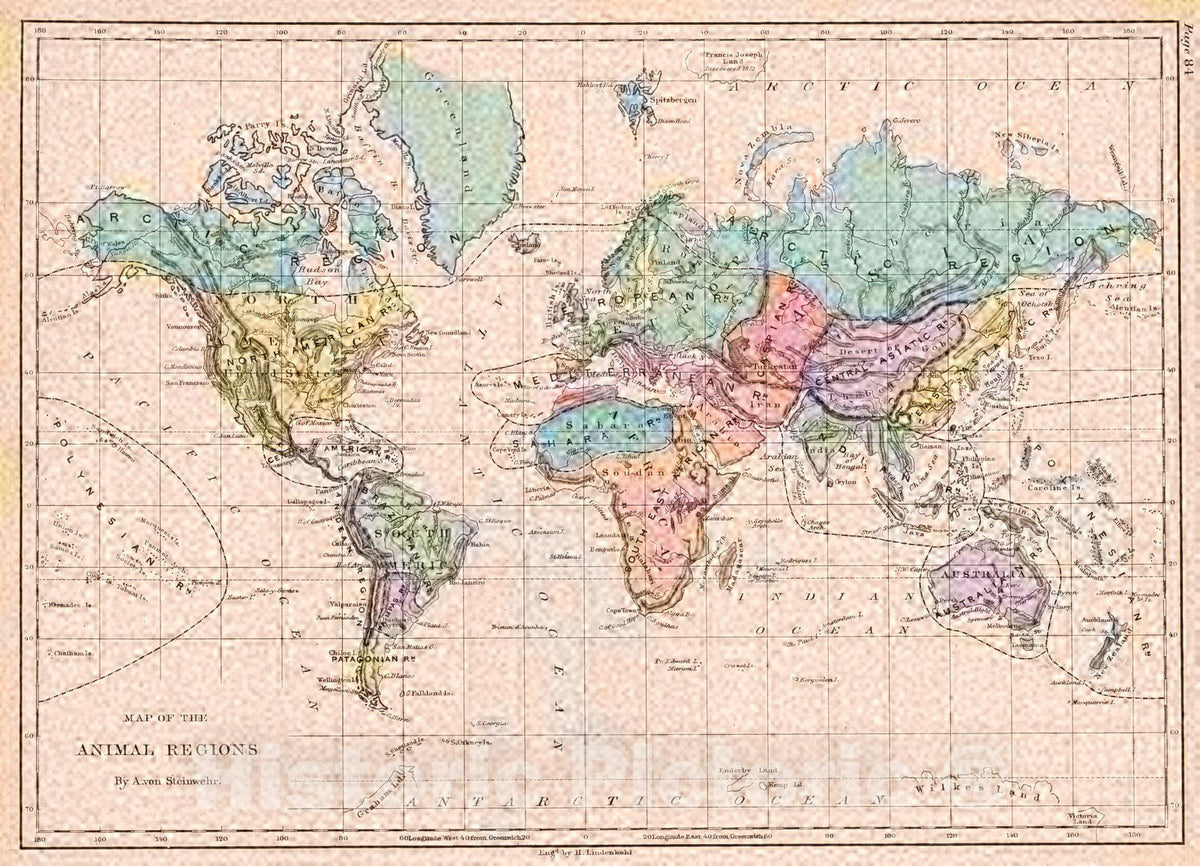 Historic Map : 1872 Map of the Animal Regions : Vintage Wall Art