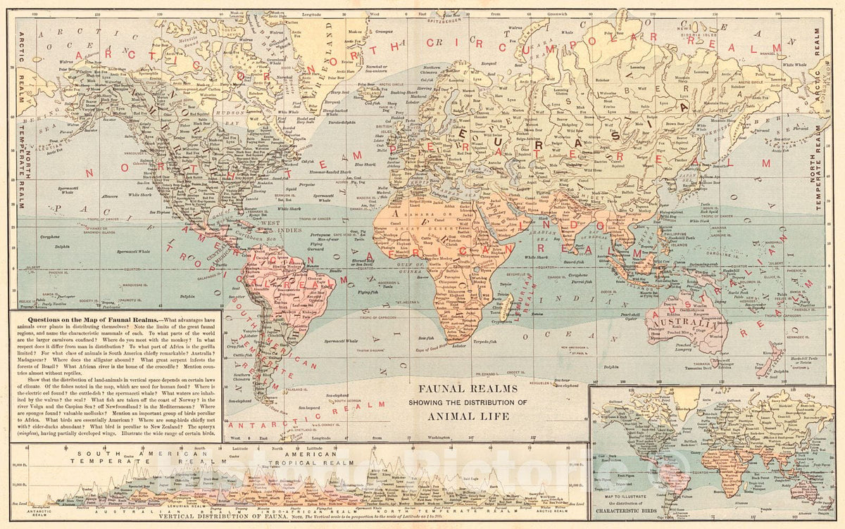 Historic Map : 1887 Faunal Realms Showing the Distribution of Animal Life : Vintage Wall Art