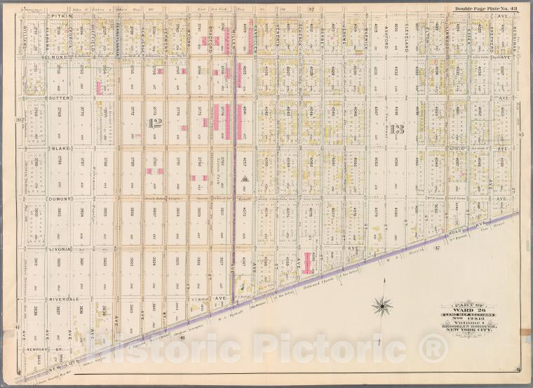 Historic Map - 1898 Brooklyn (New York, N.Y.) Plate No. 43: [Bounded By Pitkin Avenue, Berriman Street, New Lots Avenue And Williams Avenue.] - Vintage Wall Art