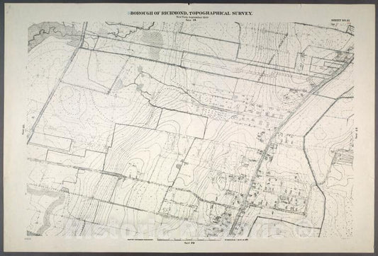 Historic Map - 1906 New York, N.Y. Richmond, Sheet No. 21. [Includes (Graniteville) From South Avenue To Watchogue Road, And From Lisk Avenue To Kirshon Avenue.] - Vintage Wall Art