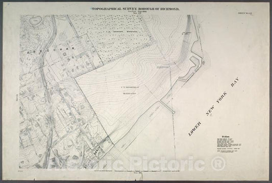 Historic Map - 1906 New York, N.Y. Richmond, Sheet No. 42. [Includes South Beach And Lower New York Bay, Mcfarland Ave, Cedar Ave And Jackson Ave In Arrochar.] - Vintage Wall Art
