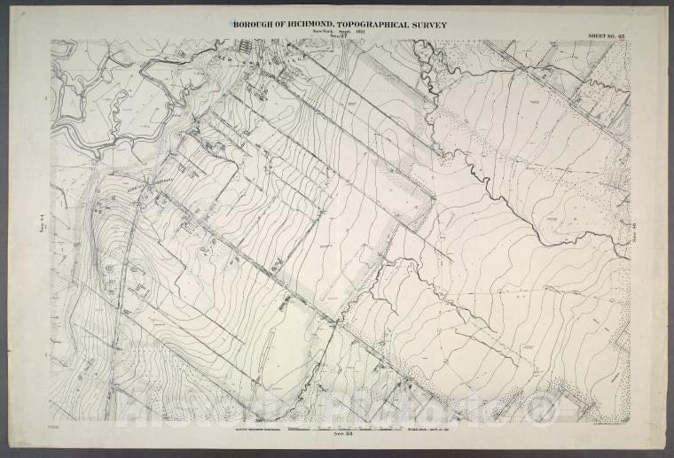 Historic Map - 1906 New York, N.Y. Richmond, Sheet No. 45. [Includes New Springville, Bridge Avenue, Old Stone Road And Richmond Road.] - Vintage Wall Art
