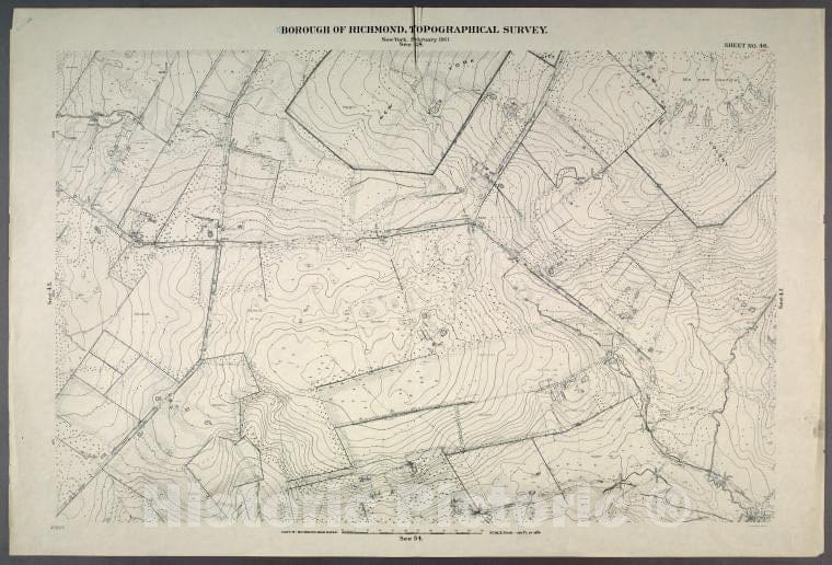 Historic Map - 1906 New York, N.Y. Richmond, Sheet No. 46. [Includes Rockland Avenue, Forest Hill Road And Port Richmond Road (Willow Brook).] - Vintage Wall Art