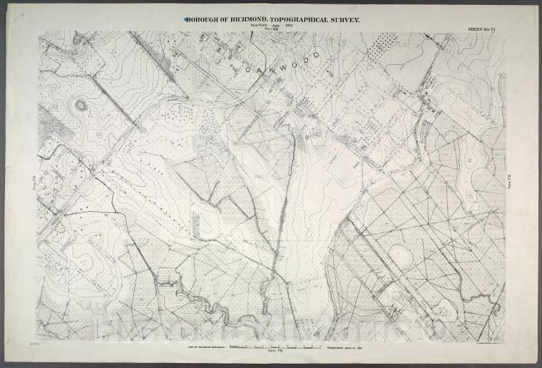 Historic Map - 1906 Sheet No. 71. [Includes Oakwood, Old Mill Road And Southside Boulevard.] - Vintage Wall Art