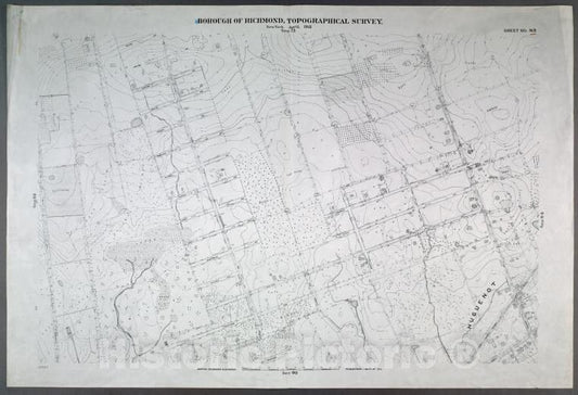 Historic Map - 1906 New York, N.Y. Richmond, (Arden Heights) Vineland, Sinclair, Sheldon, Rensalaer, Rathun, Ramona, Ionia, Edgegrove, Detroit, Carlto - Vintage Wall Art