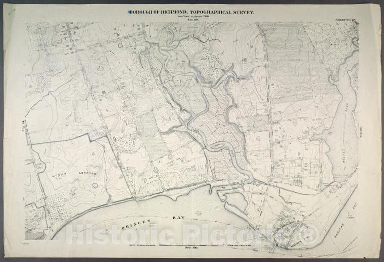 Historic Map - 1906 New York, N.Y. Richmond, [(Pleasant Plains), Excelsior Ave, Bay View Ave, Seguine Ave, Wolfe'S Pond, Seguine'S Point, And Lemon Creek.] - Vintage Wall Art
