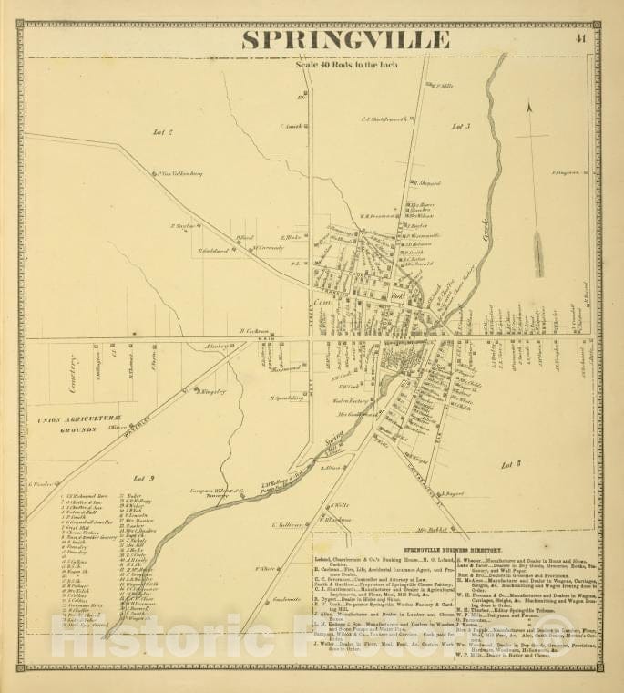 Historic 1866 Map - Springville [Village]; Springville Business Directory. - Vintage Wall Art