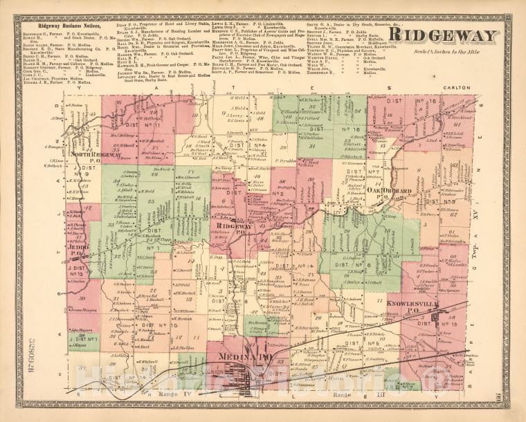 Historic 1875 Map - Ridgeway [Township]; Ridgeway Business Notices. - Vintage Wall Art