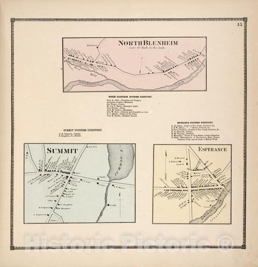 Historic 1866 Map - North Blenheim [Village]; North Blenheim Business Directory; S - Vintage Wall Art