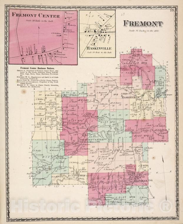 Historic 1873 Map - Fremont Center [Village]; Haskinville [Village]; Fremont Busines - Vintage Wall Art