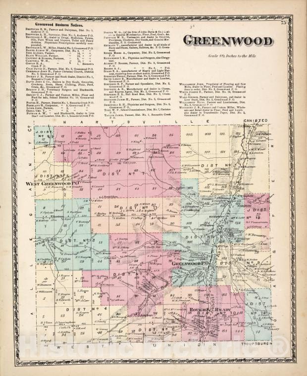 Historic 1873 Map - Greenwood Business Notices; Greenwood [Township] - Vintage Wall Art