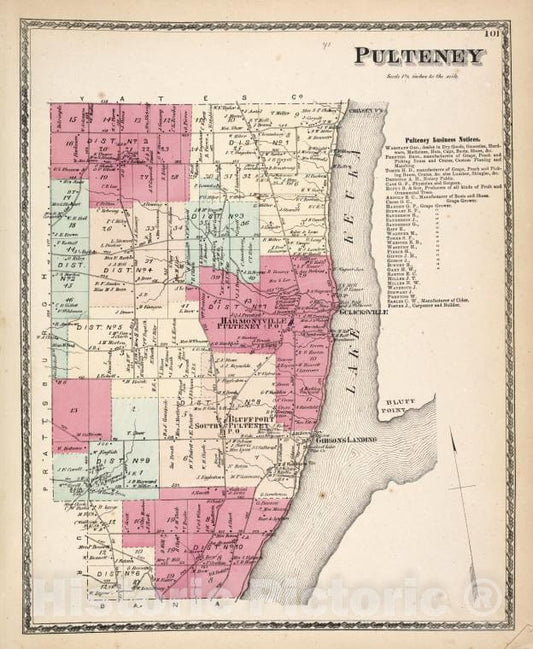 Historic 1873 Map - Pulteney [Township]; Pulteney Business Notices. - Vintage Wall Art