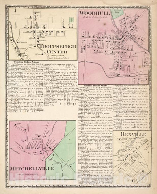 Historic 1873 Map - Troupsburgh Center [Village]; Troupsburgh Business Notices; Wo - Vintage Wall Art