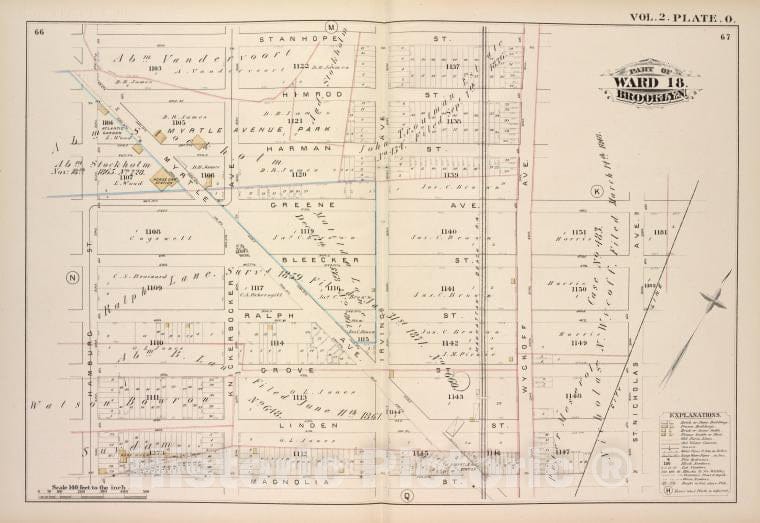 Historic Map - 1880 Brooklyn (New York, N.Y.), Stanhope St Wyckoff Ave, Greene Ave, St. Nicholas Ave, Magnolia St Hamburg St; - Vintage Wall Art