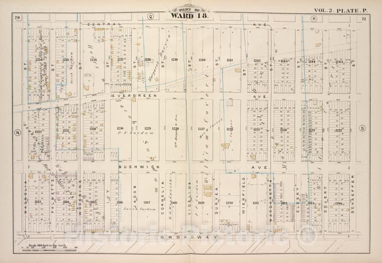 Historic Map - 1880 Brooklyn (New York, N.Y.),Central Ave, Schaeffer St Broadway, Magnolia St; Evergreen Ave, Bushwick Ave, Palmetto St Woodbine St Ivy St - Vintage Wall Art