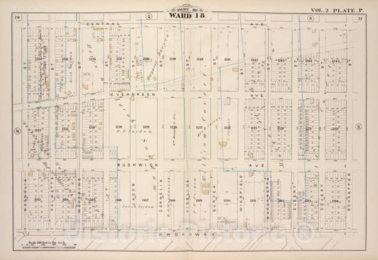 Historic Map - 1880 Brooklyn (New York, N.Y.),Central Ave, Schaeffer St Broadway, Magnolia St; Evergreen Ave, Bushwick Ave, Palmetto St Woodbine St Ivy St - Vintage Wall Art