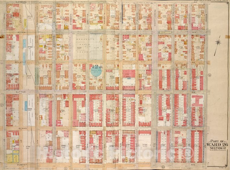 Historic Map - 1905 Brooklyn (New York, N.Y.) Vol. 4, Plate No. 6; Part Of Ward 26; Sections 12; [Glenmore Ave, Wyona St; Including Dumont Ave, Powell St.] - Vintage Wall Art