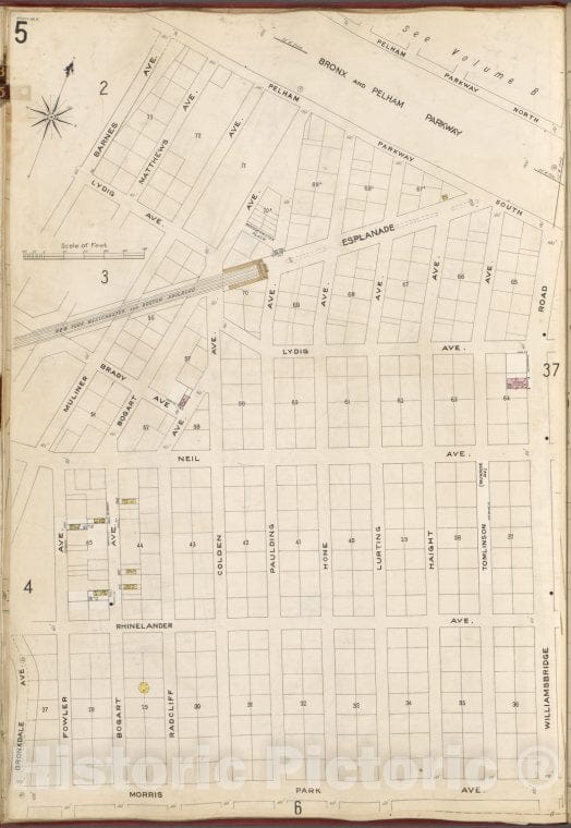 Historic Map - 1905 Bronx, New York (N.Y.), V. A, Plate No. 5 [Bronx And Pelham Parkway, Williamsbridge Rd, Morris Park Ave, Fowler Ave, Barnes Ave.] - Vintage Wall Art