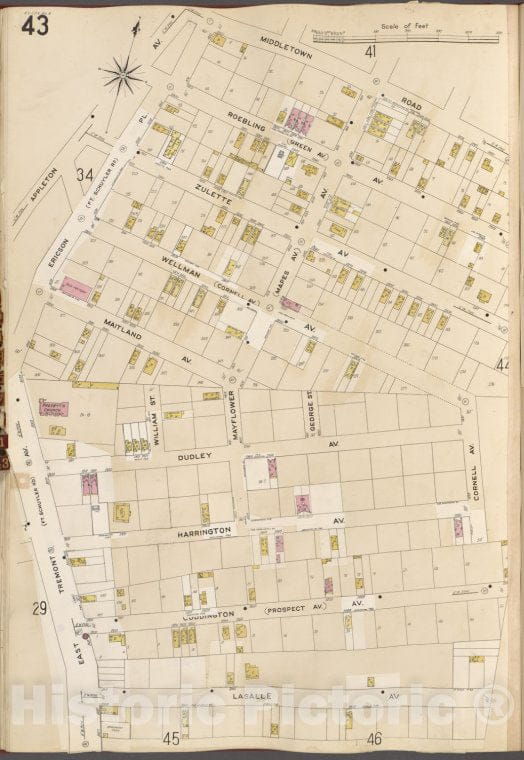 Historic Map - 1905 Bronx, New York (N.Y.), V. A, Plate No. 43 [Middletown Rd, Cornell Ave, Lasalle Ave, East Tremont Ave, Appleton Ave.] - Vintage Wall Art