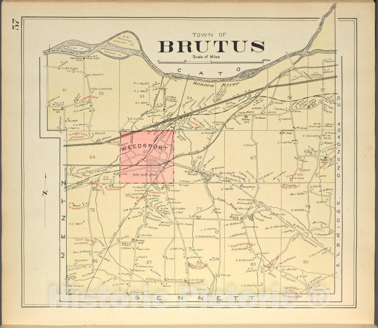 Historic 1904 Map - Cayuga County, Right Page [Map Of Town Of Brutus] - Vintage Wall Art