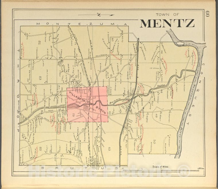 Historic 1904 Map - Cayuga County, Left Page [Map Of Town Of Mentz] - Vintage Wall Art