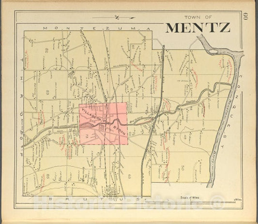 Historic 1904 Map - Cayuga County, Left Page [Map Of Town Of Mentz] - Vintage Wall Art