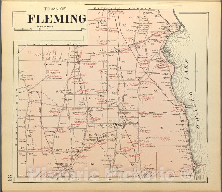 Historic 1904 Map - Cayuga County, Left Page [Map Of Fleming] - Vintage Wall Art