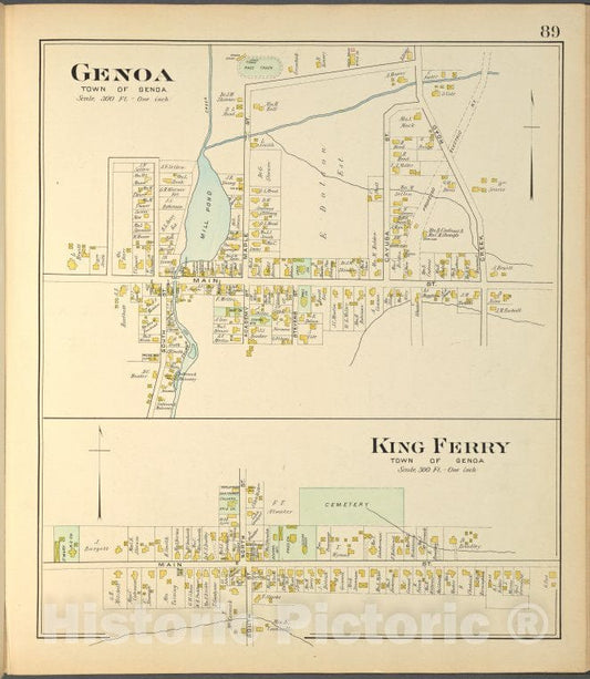 Historic 1904 Map - Cayuga County, Right Page [Map Of Genoa, King Ferry] - Vintage Wall Art