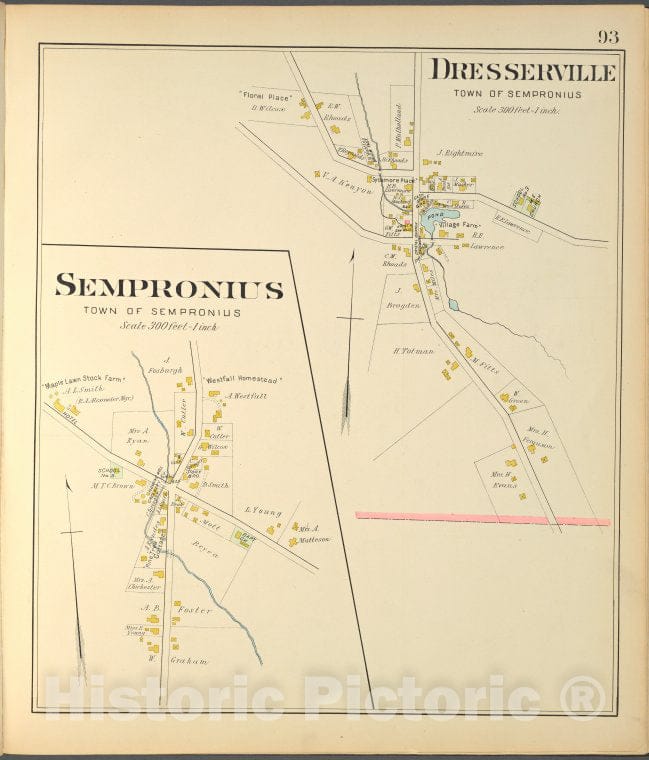 Historic 1904 Map - Cayuga County, Right Page [Map Of Sempronius, Dresserville] - Vintage Wall Art