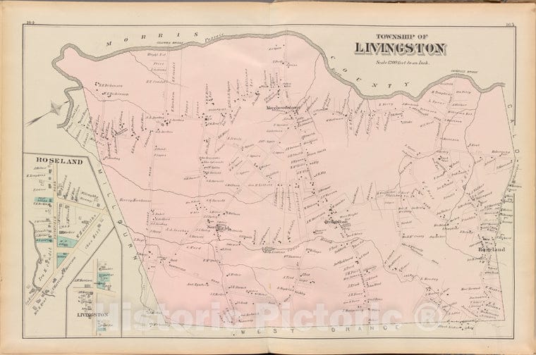 Historic 1881 Map - Essex County, Left Page Plate: [Township Of Livingston, Roseland - Vintage Wall Art