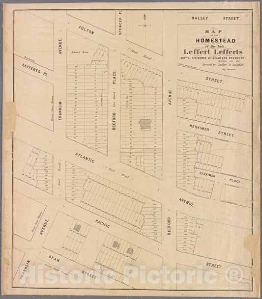 Historic Map - 1875 Brooklyn (New York, N.Y.), Map Of The Homestead Of The Late Leffert Lefferts (Now The Residence Of J. Carson Brevoort). - Vintage Wall Art