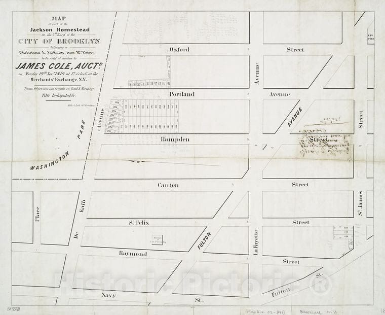 Historic 1849 Map - Map Of Part Of The Jackson Homestead In The 7Th Ward Of The City - Vintage Wall Art