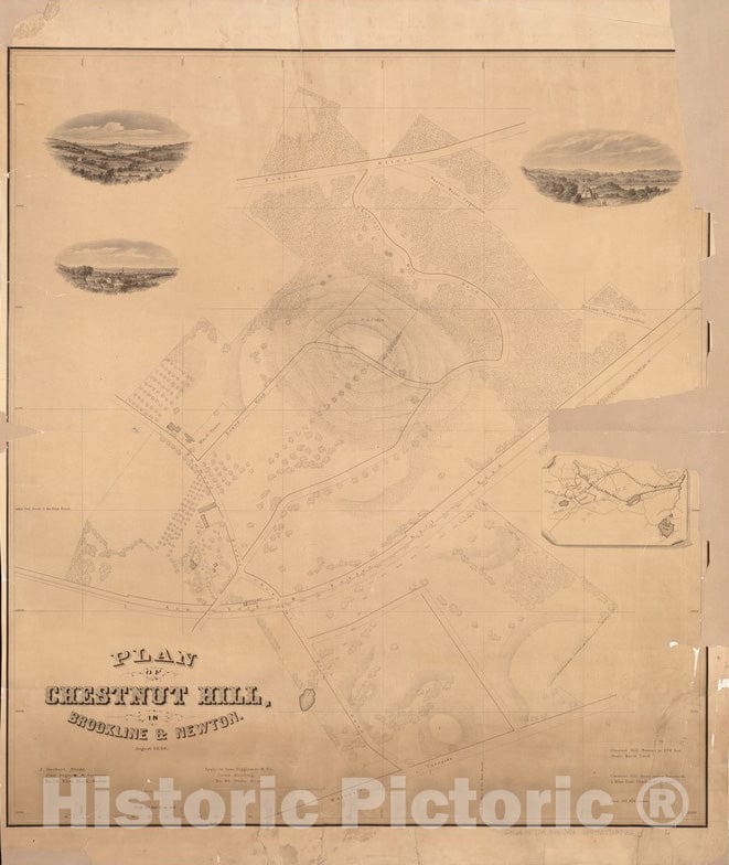 Historical Map, Plan of Chesnut Hill, in Brookline & Newton : August 1856, Vintage Wall Art