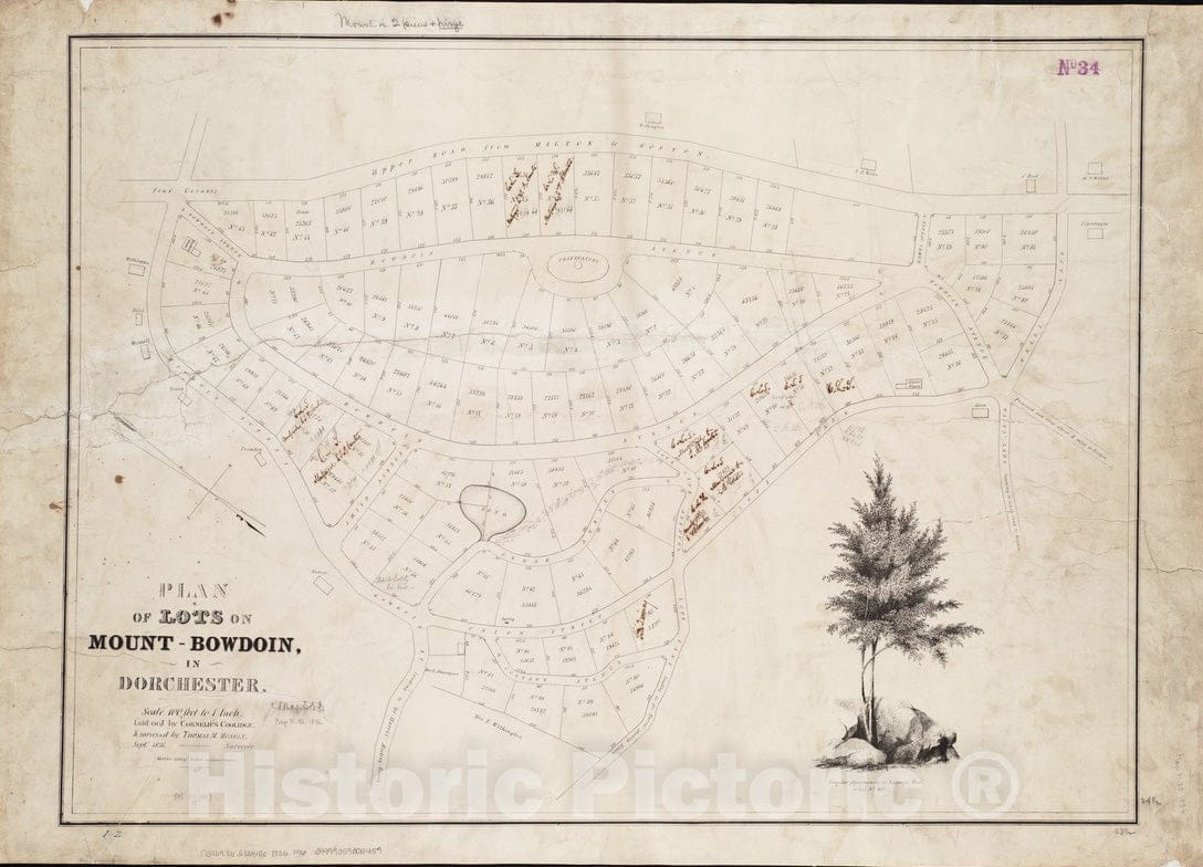 Historical Map, 1836 Plan of Lots on Mount-Bowdoin in Dorchester, Vintage Wall Art