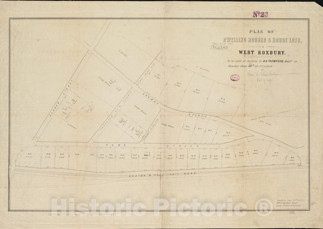 Historical Map, 1855 Plan of Dwelling Houses & House Lots, in West Roxbury, Vintage Wall Art