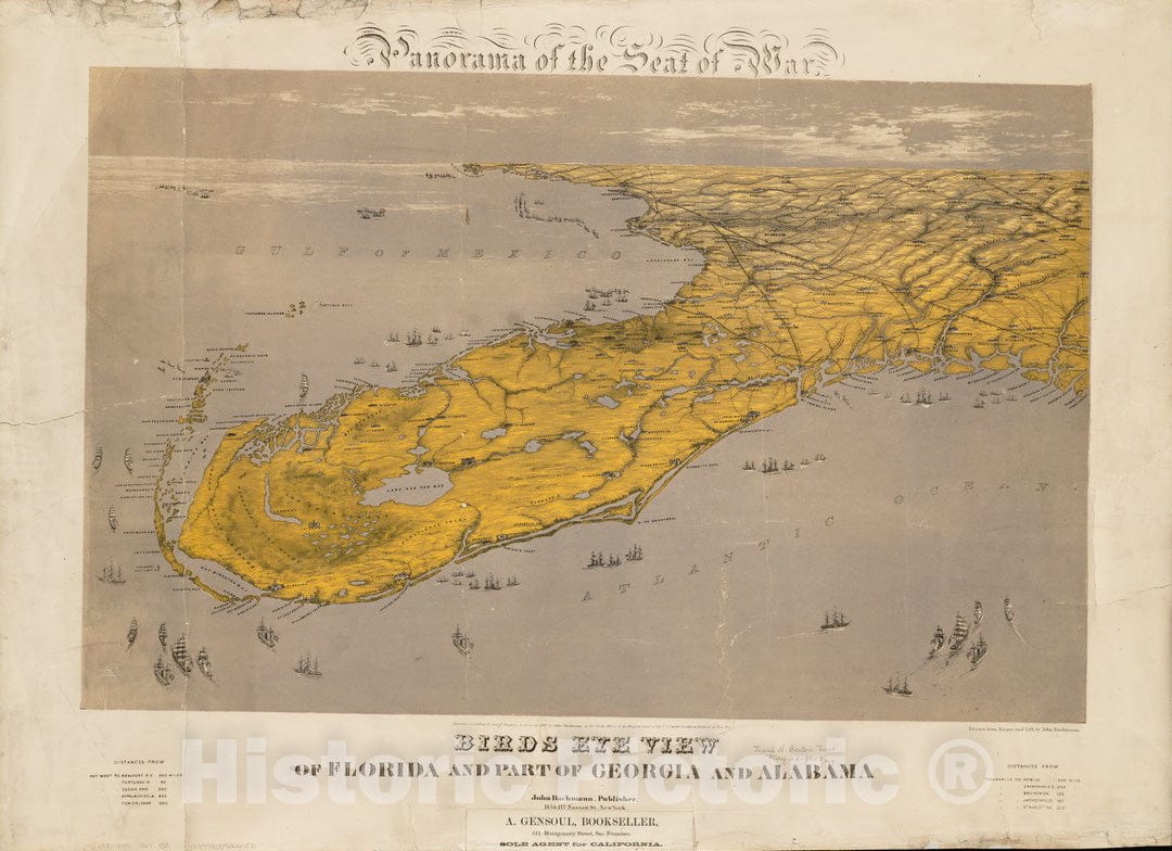 Historical Map, ca. 1861 Birds Eye View of Florida and Part of Georgia and Alabama, Vintage Wall Art