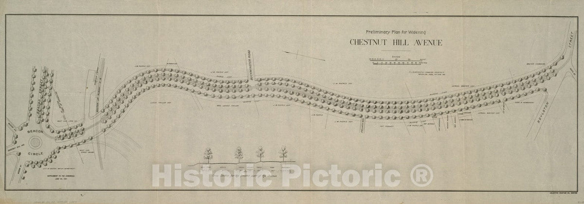 Historical Map, 1891 Preliminary Plan for widening Chesnut Hill Avenue, Vintage Wall Art