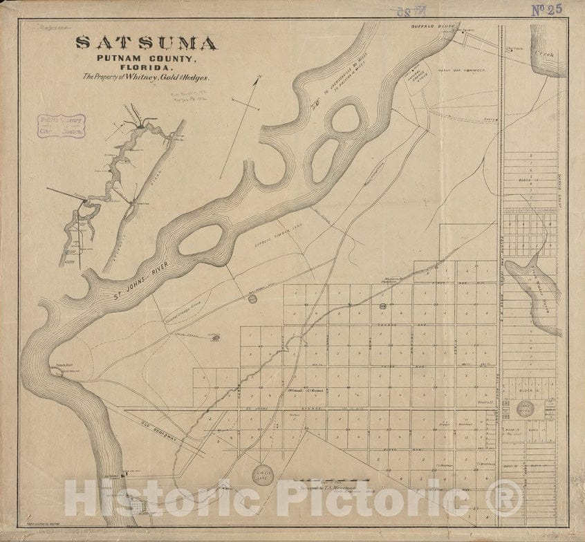 Historical Map, 1882 Satsuma, Putnam County, Florida : the property of Whitney, Gold and Hodges, Vintage Wall Art