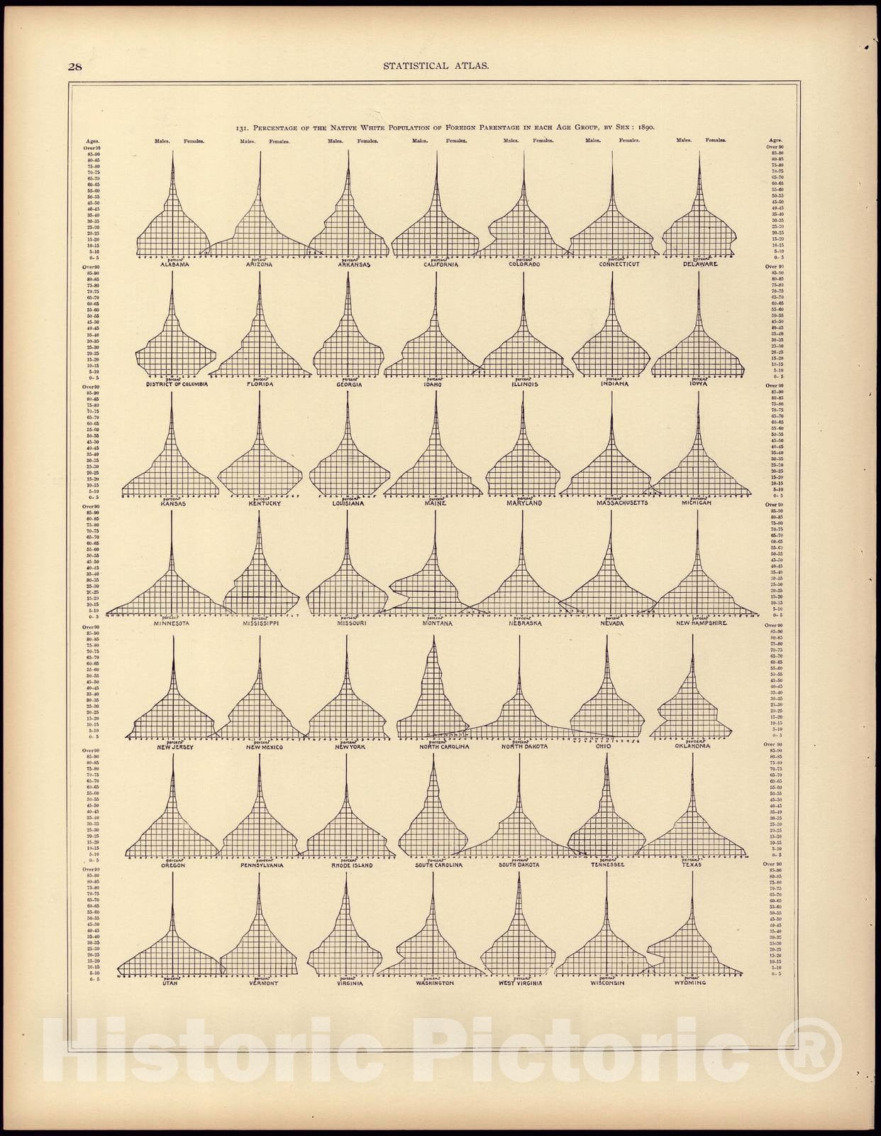 Historic 1898 Map - Statistical Atlas of The United States, Percentage of The Native White Population of Native Parentage in Each Age Group, by Sex: 1890