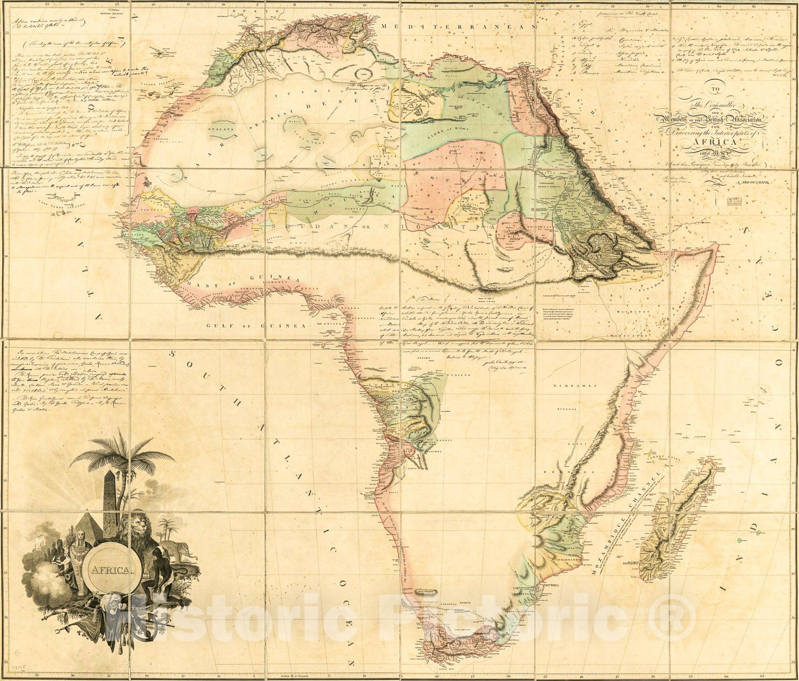 Historic 1802 Map - Africa : to The Committee and Members of The British Association discovering The Interior Parts of Africa This map is with Their Permission Most respectfully inscribed