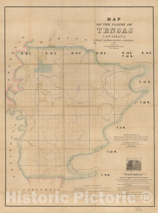 Historic 1860 Map - Map of The Parish of Tensas, Louisiana : from United States Surveys.