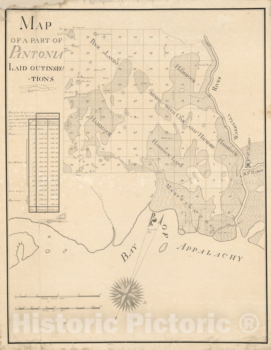 Historic 1815 Map - Map of a Part of Pantonia Laid Out in Sections.