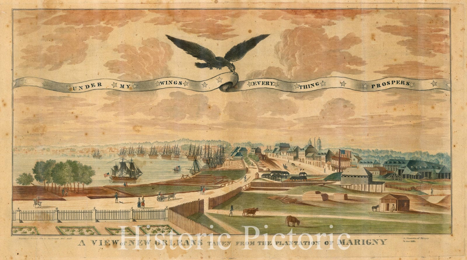 Map : New Orleans, Louisiana 1803, A view of New Orleans taken from the plantation of Marigny , Antique Vintage Reproduction