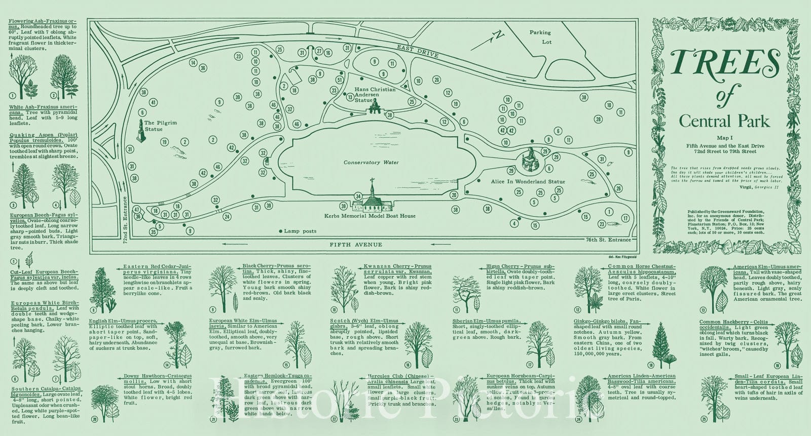 Map : Central Park 1967 2, Trees of Central Park : Fifth Avenue and the East Drive, 72nd to 79th Street , Antique Vintage Reproduction