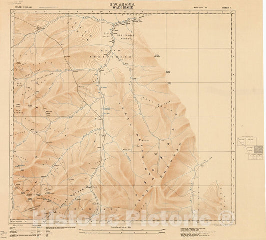 Map : Wadi Bishe, Saudi Arabia 1917, S.W. Arabia : Sheet 7 Wadi Bishe , Antique Vintage Reproduction