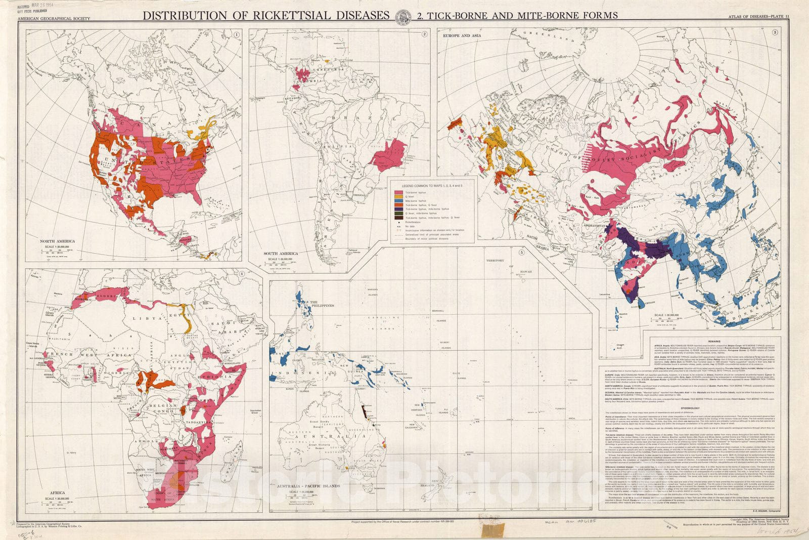 Map : Atlas of Diseases 1954 10, Atlas of diseases, Antique Vintage Reproduction